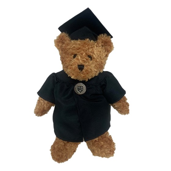 Graduation Bear, livebeforelockdown